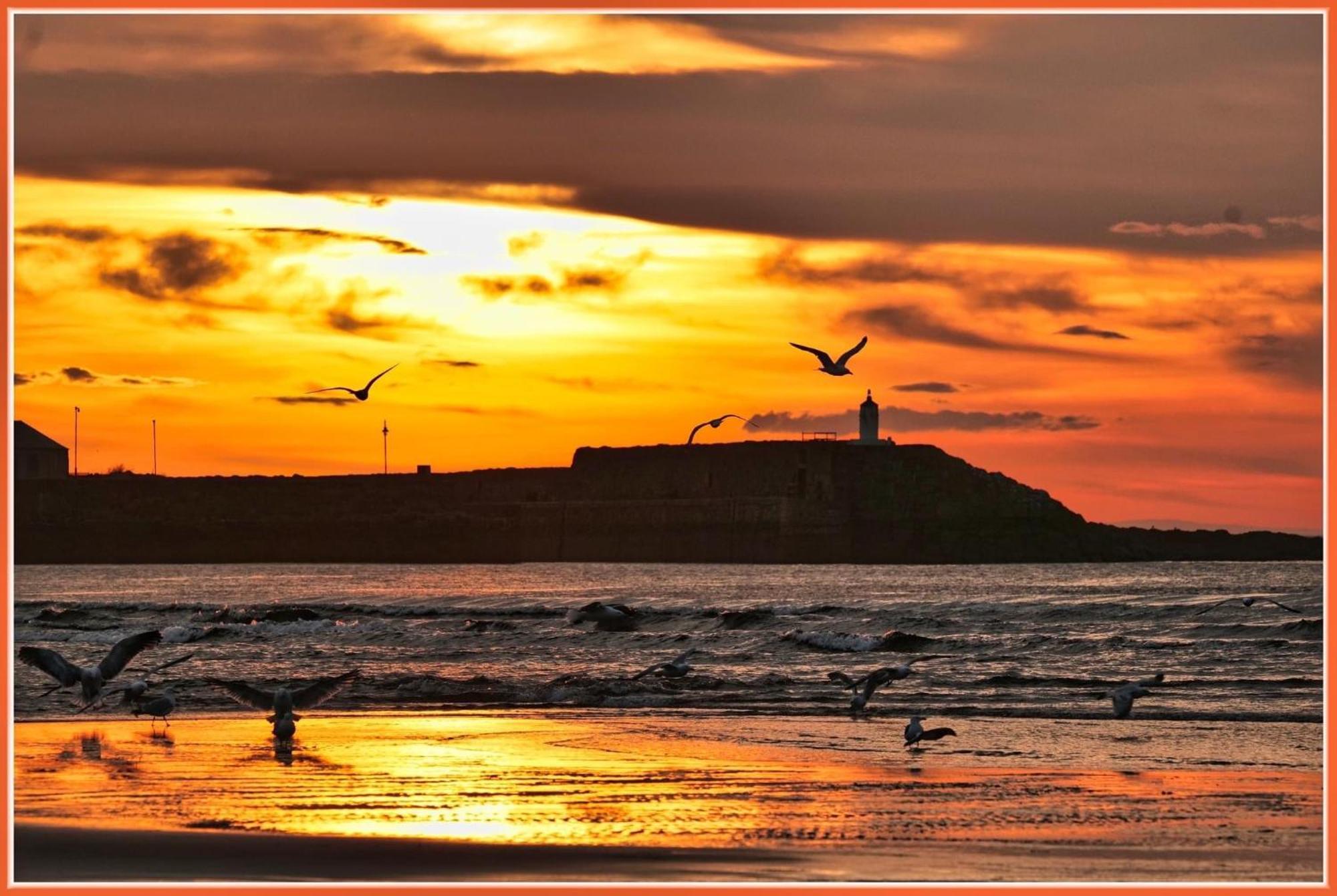 Moray View, Macduff, Aberdeenshire. Exterior foto